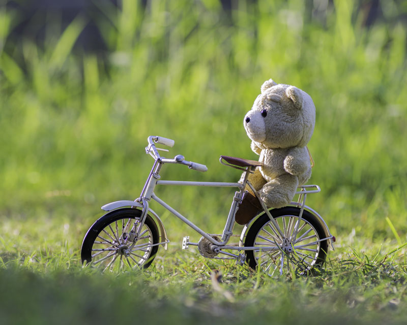 bear on a bike