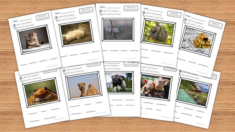 Dictation sentences printable free sample.