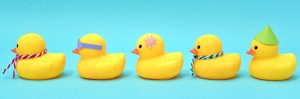 digraph ck ducks featured image