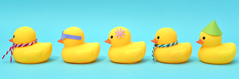 digraph ck ducks featured image