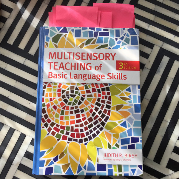 multisensory teaching of basic language skills book