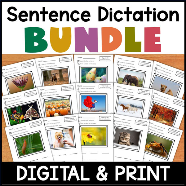 sentence dictation bundle