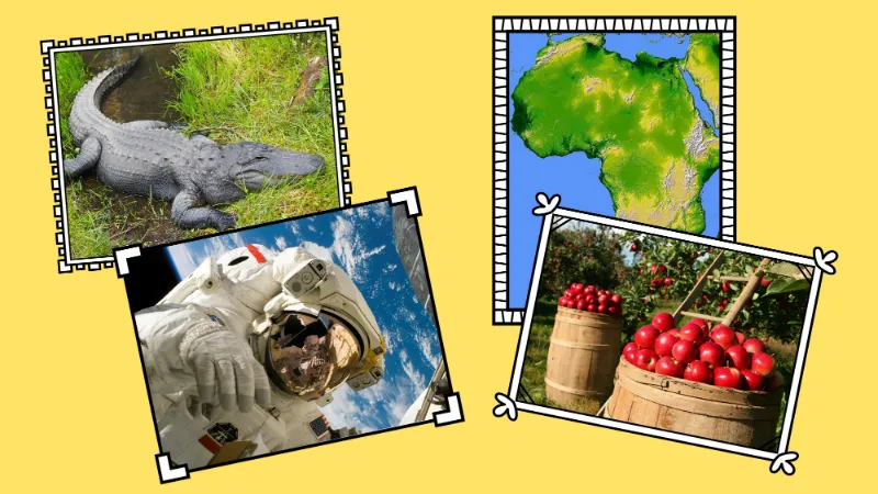 Initial a sound photo collage with alligator, Africa, astronaut, and apples.