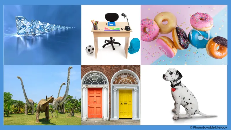Photo collage containing words with beginning sound d: diamonds, desk, donuts, dinosaurs, doors, dog.