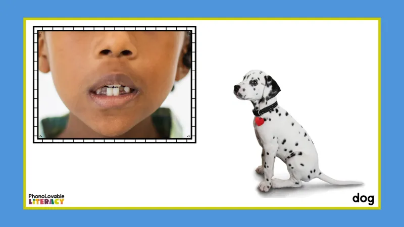 Beginning sound d mouth formation and dog.