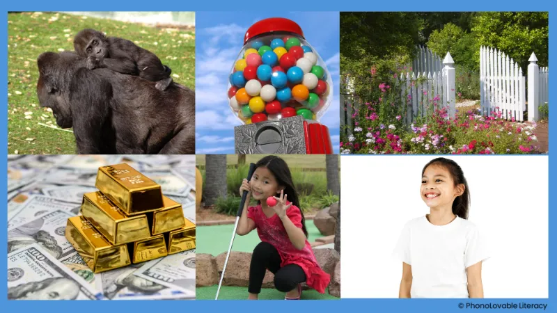 Photo collage for letter g sound: gorillas, gumballs, gate, gold, golf, and girl.