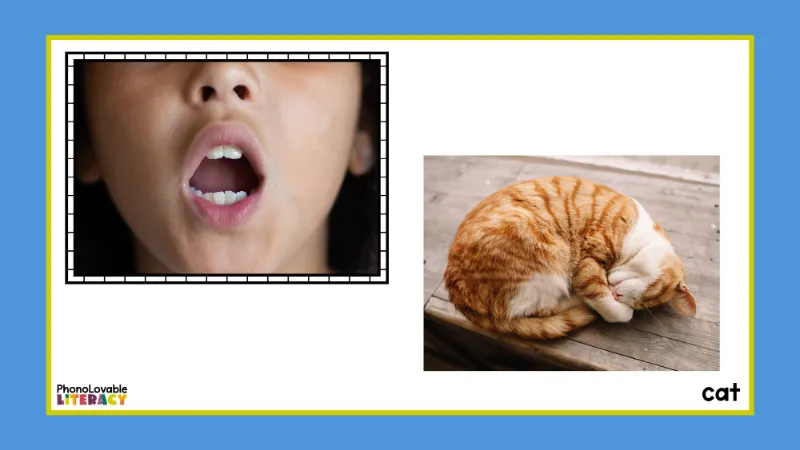Mouth formation for c with cat.