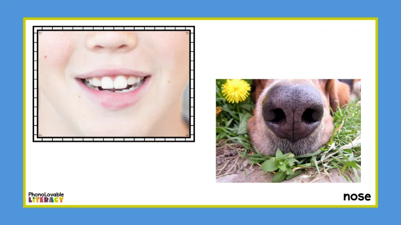 Mouth formation for n with nose.