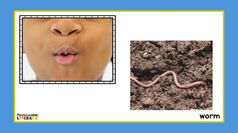Mouth formation for w with worm.