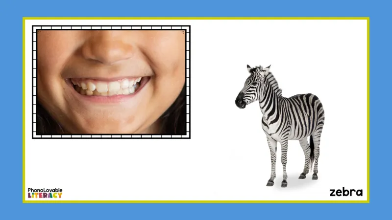 Mouth formation for z with zebra.