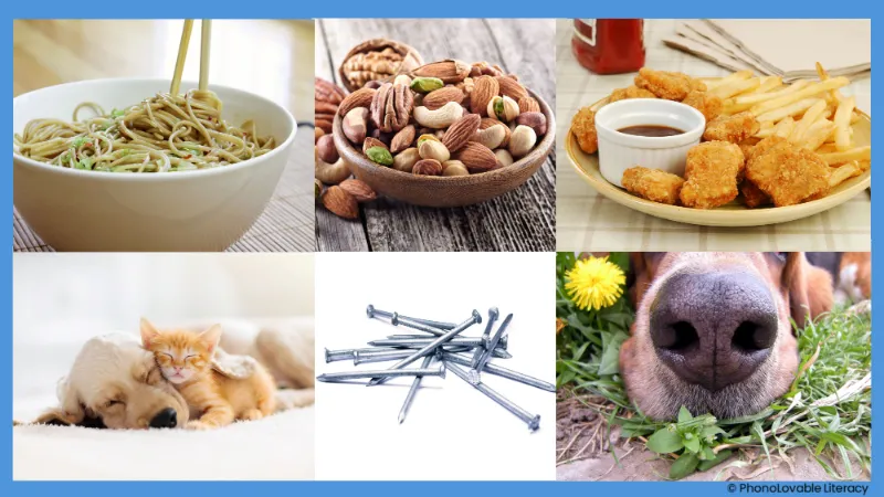 Photo collage for letter n sound: noodles, nuts, nuggets, nap, nails, and nose.