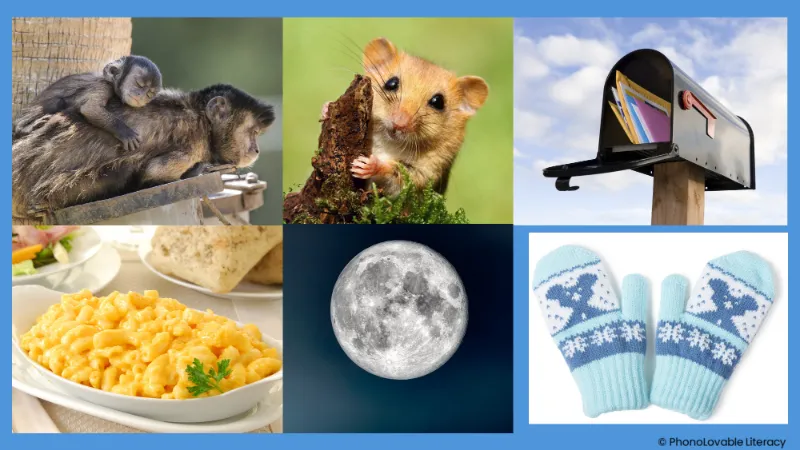 Photo collage for letter m sound: monkey, mouse, mail, macaroni, Moon, and mittens.