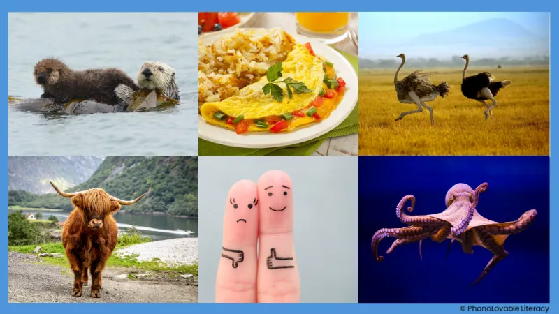 Photo collage for letter o sound: otter, omelet, ostrich, ox, opposites, and octopus.