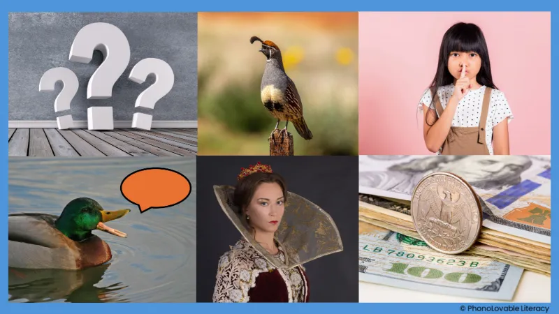 Photo collage for letter q sound: question, quail, quiet, quack, queen, and quarter.