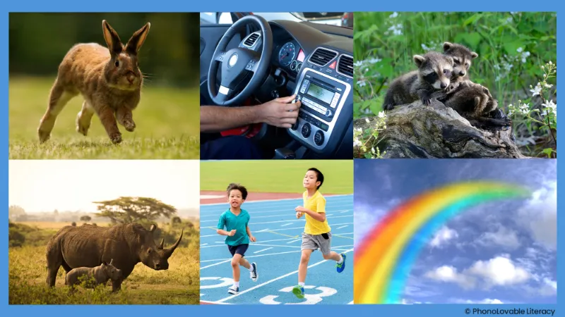 Photo collage for letter r sound: rabbit, radio, raccoons, rhinoceros, race, and rainbow.