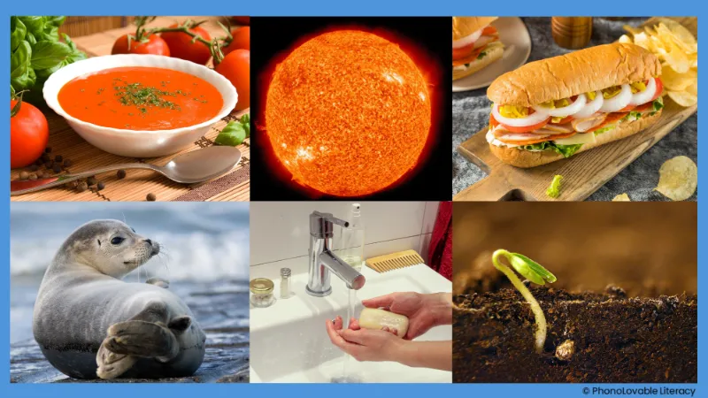 Photo collage for letter s sound: soup, Sun, sandwich, seal, soap, and seed.