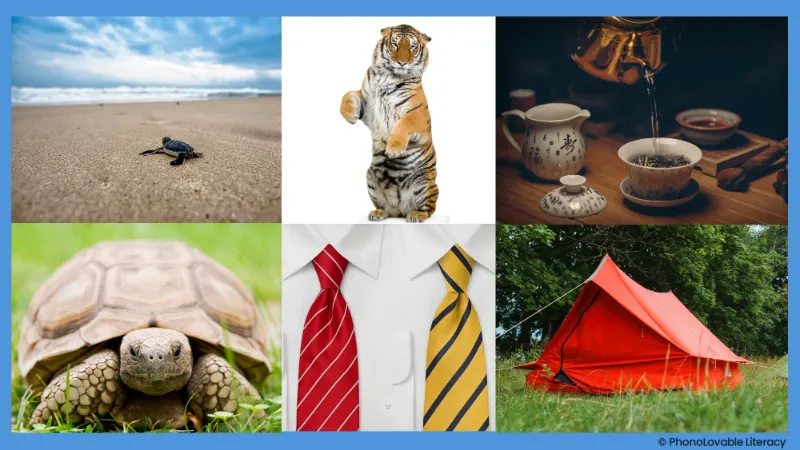 Photo collage for letter t sound: turtle, tiger, tea, tortoise, ties, and tent.