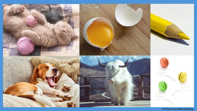 Photo collage for letter y sound: yarn, yolk, yellow, yawn, yak, and yo-yos.