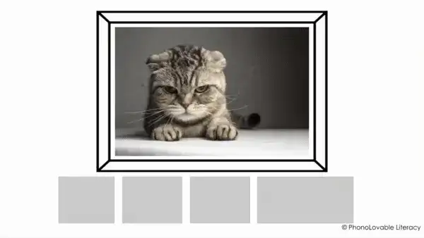 Digital slide with real photo of a mad cat and reveal of sentence Is the cat mad?