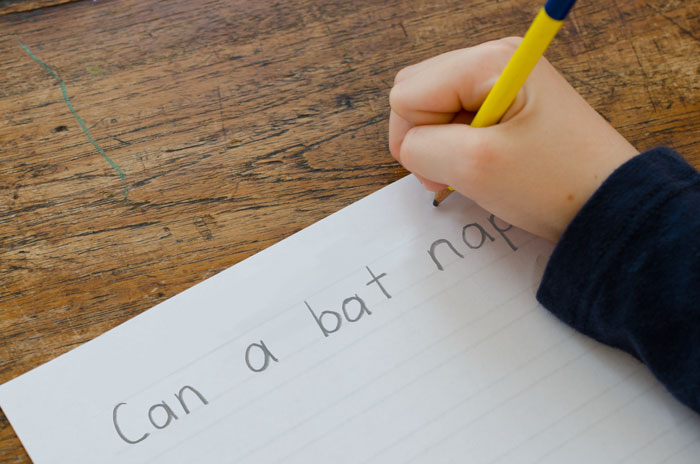 A child writes the short A CVC dictated sentence Can a bat nap?