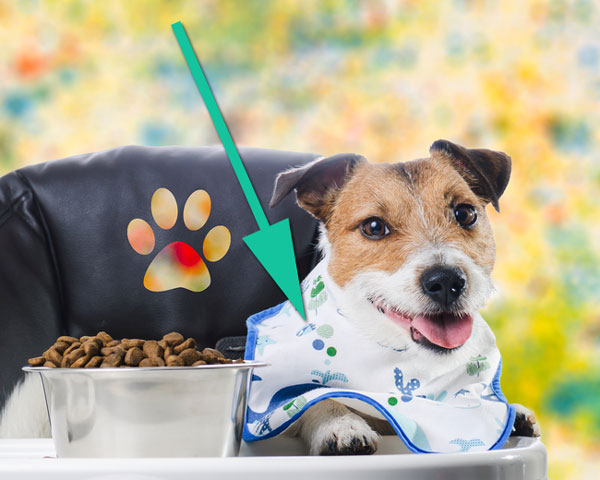A cut puppy is wearing a bib.