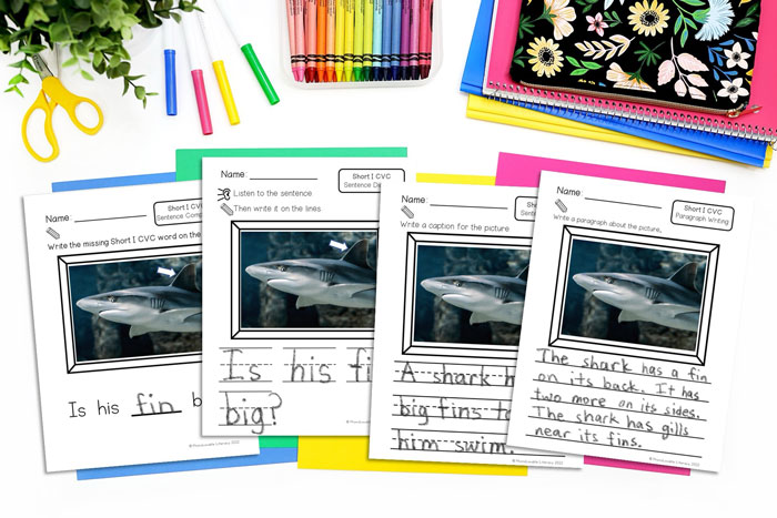 Short I sentence dictation printed writing pages with 4 levels of differentiation.