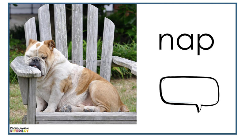 Real photo of a bulldog in a chair taking a nap.