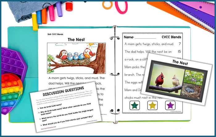 The Nest passage that has box for illustration, discussion questions, pictures on next page, and other tips for choosing decodables.