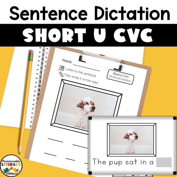 Sentence dictation short u CVC resource cover.