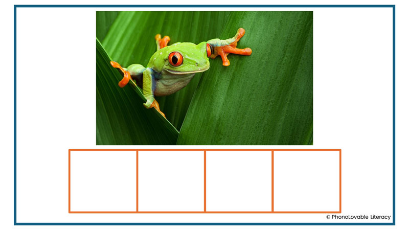 Encoding slide with a green frog on a leaf and four blank letter boxes underneath the photo.